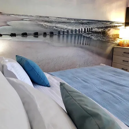 Blue Paradise 公寓 科斯蒂内什蒂
