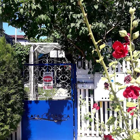 Blue Paradise 公寓 科斯蒂内什蒂