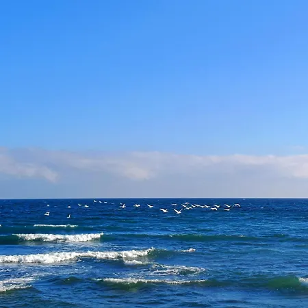 Blue Paradise * 科斯蒂内什蒂