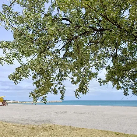 公寓 Blue Paradise 科斯蒂内什蒂