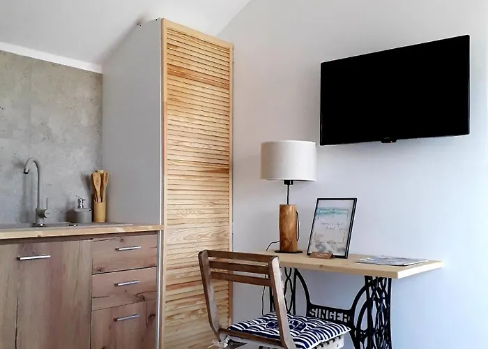 Blue Paradise 公寓 科斯蒂内什蒂