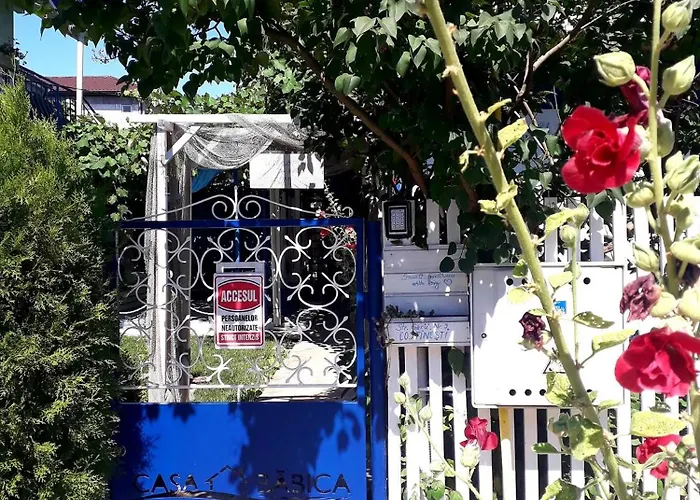 Blue Paradise 公寓 科斯蒂内什蒂