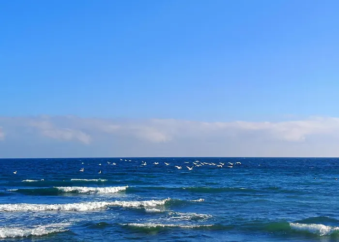 Blue Paradise * 科斯蒂内什蒂