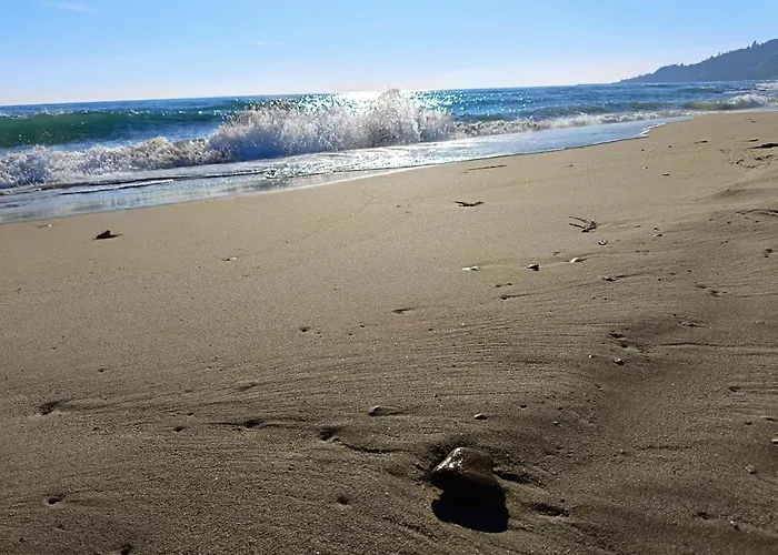 Blue Paradise 科斯蒂内什蒂