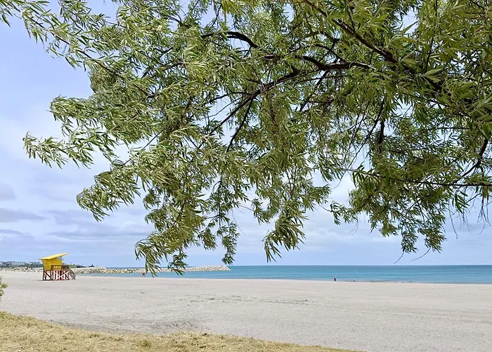 公寓 Blue Paradise 科斯蒂内什蒂